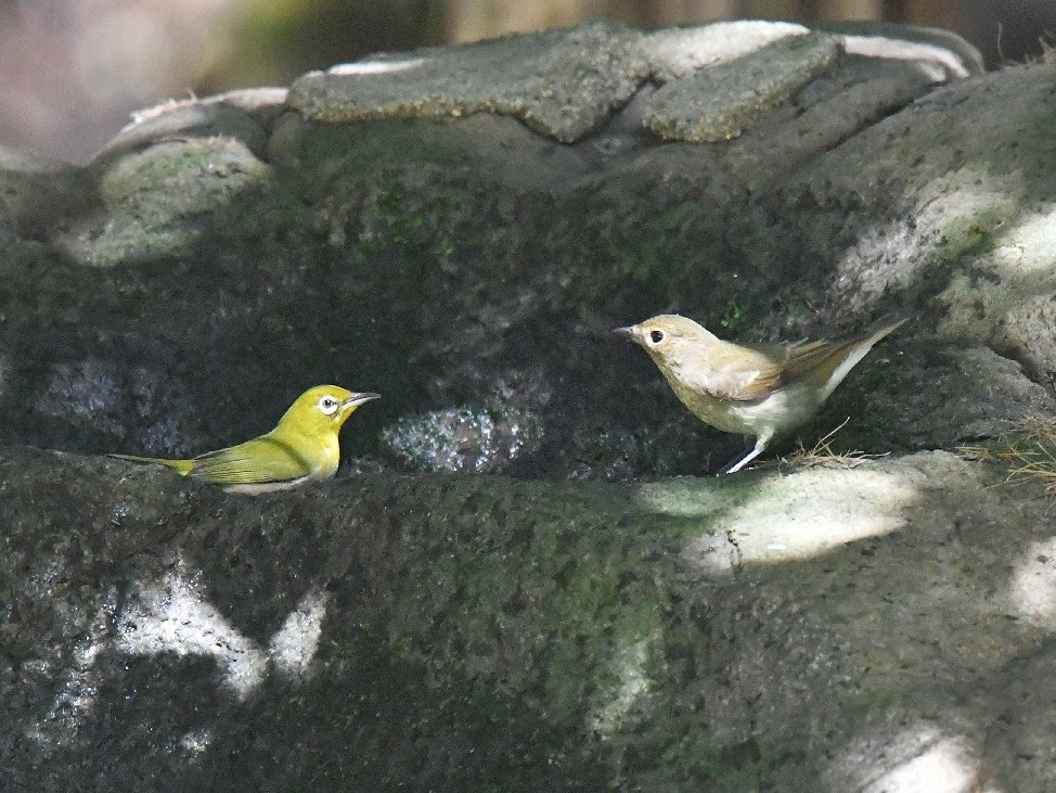 f0340732_17480105.jpg