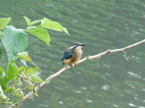 c0338136_21323896.jpg