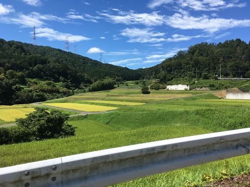 あの日みた鬼畜の名前を僕はまだ知りたくない_b0184437_19581086.jpg