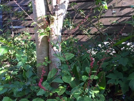 a0272241_15551121.jpeg