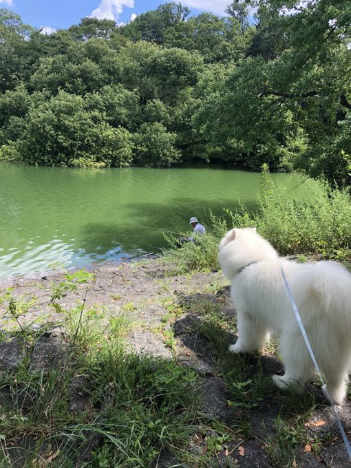2019年9月前半 インスタ写真集 その1_f0128542_15040170.jpg