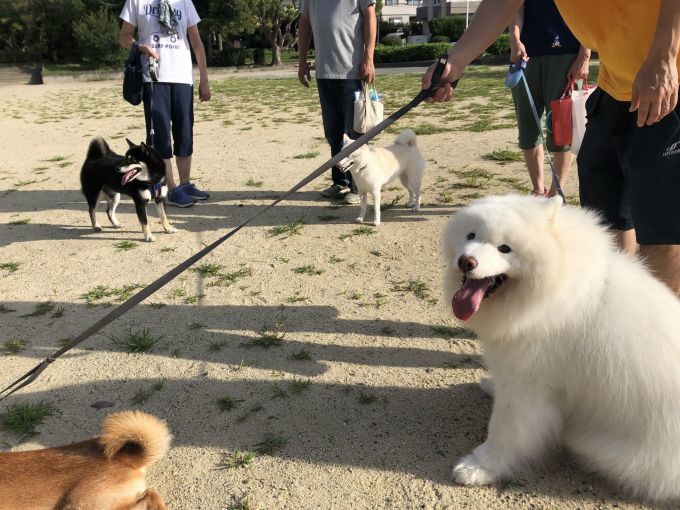 2019年9月前半 インスタ写真集 その1_f0128542_15113567.jpg