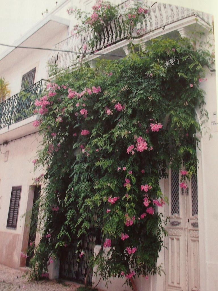 b0396150_14320727.jpg