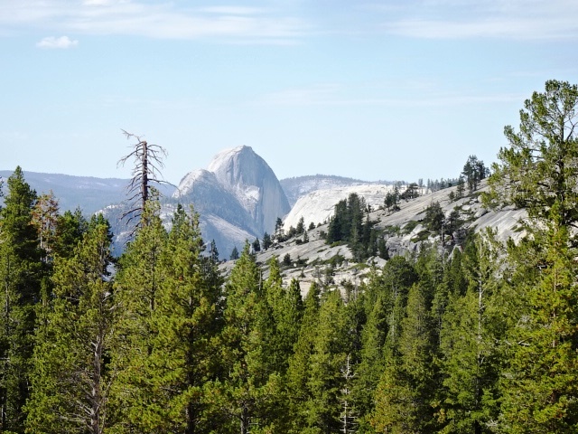 b0227552_10385083.jpg