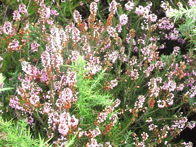 d0383957_02053692.jpg