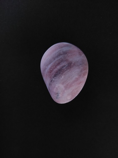 c0172261_10484950.jpg