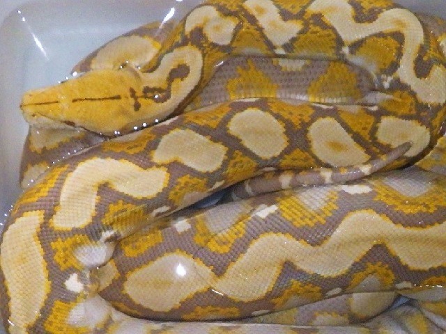 c0105569_00432928.jpg