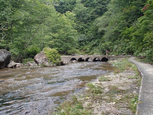 a0344771_21004567.jpg