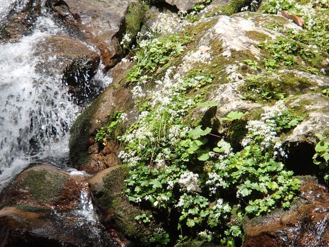 a0344771_21011070.jpg