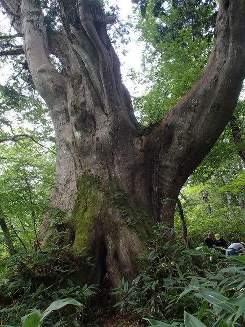 a0344771_21012031.jpg