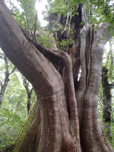 a0344771_21012710.jpg