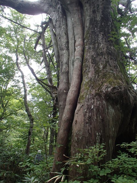 a0344771_21021974.jpg