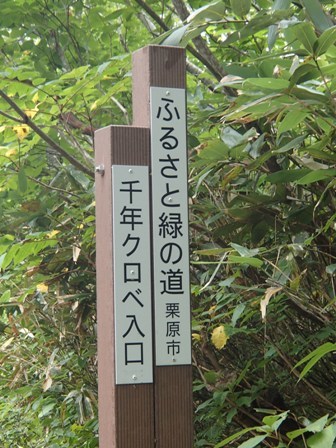 a0344771_21023206.jpg