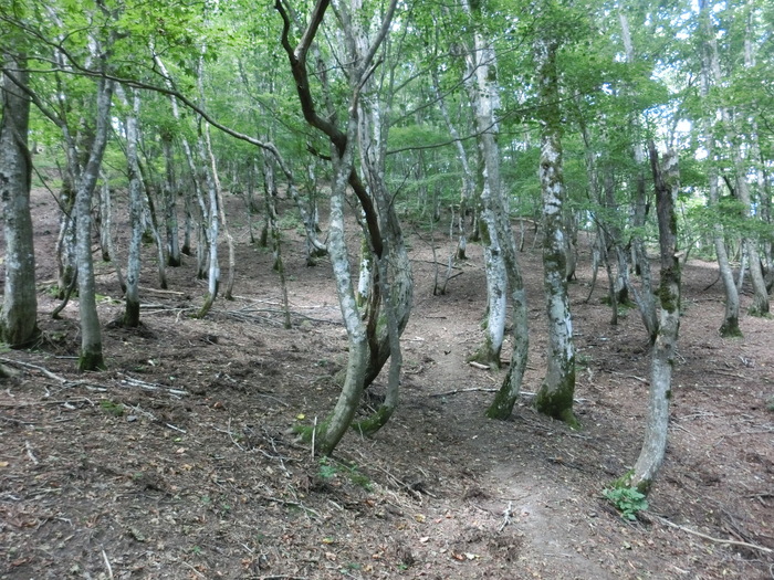 b0185573_4452975.jpg