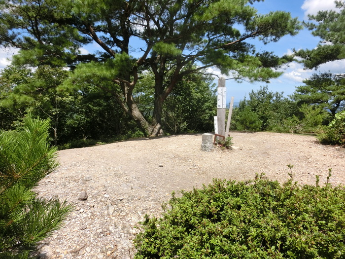 No510 森林浴の森日本100選 福井八ケ峰 みちくさおじさん山を歩く