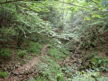 d0182075_05444654.jpg