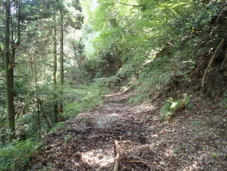d0182075_05473399.jpg