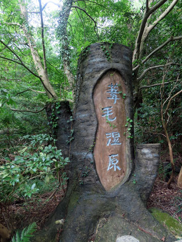 「伊吹山  秋の花ウォッチングと近江&東海　湿原巡り」葦毛湿原_f0083977_05511414.jpg