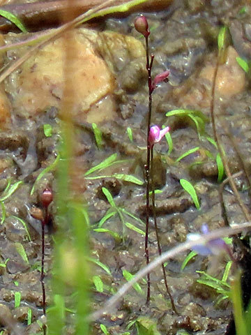 f0083977_05565201.jpg