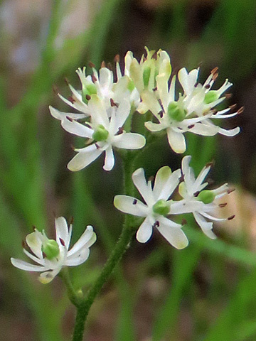 f0083977_06034240.jpg