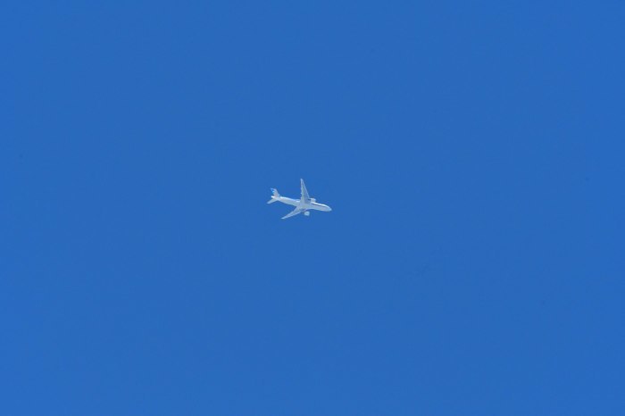 d0171080_21542464.jpg