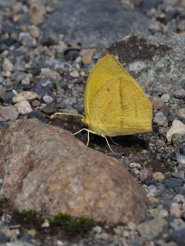 f0348480_10050424.jpg