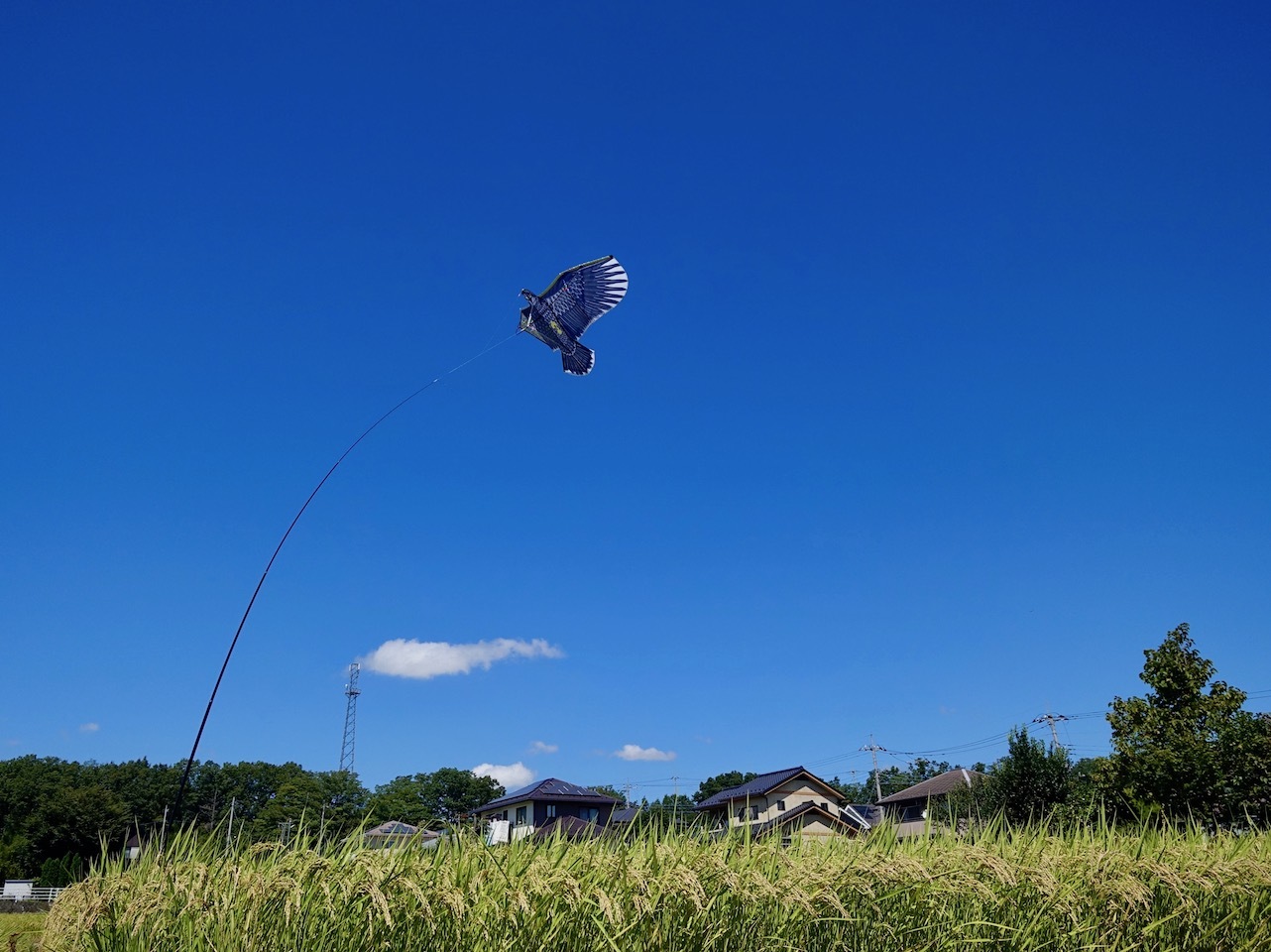 韮崎から野辺山へ_e0406281_00350608.jpg