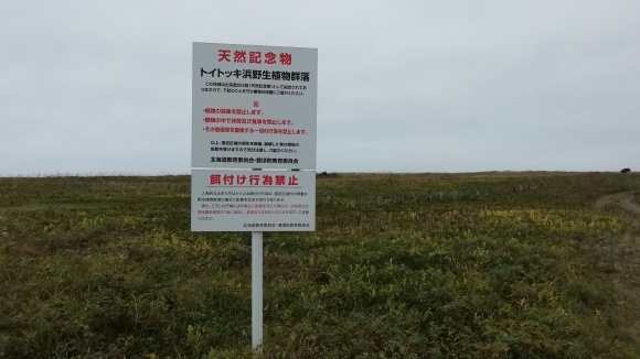 c0212083_20143232.jpg