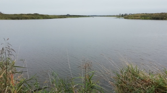 c0212083_20150575.jpg