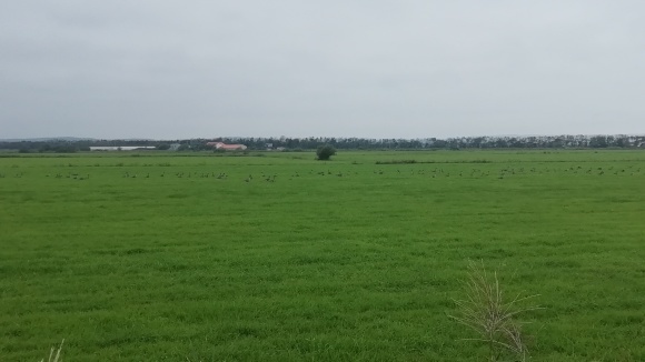 c0212083_20205907.jpg