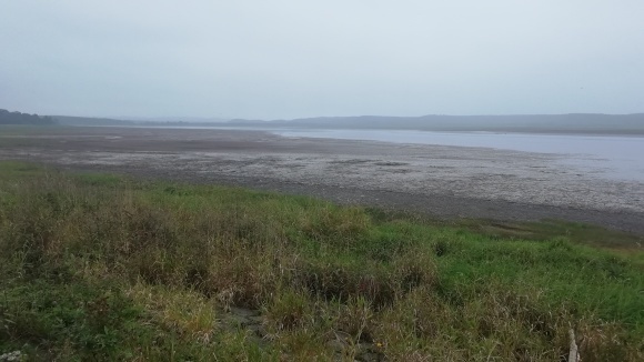 c0212083_20222254.jpg
