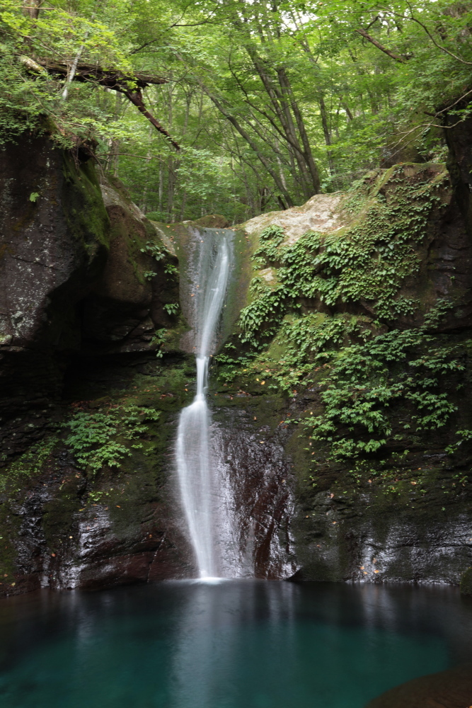 e0165983_12332118.jpg