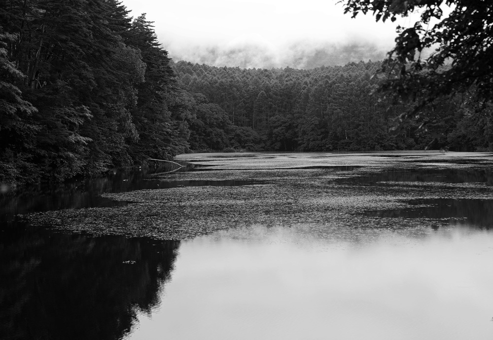 c0229384_23050636.jpg