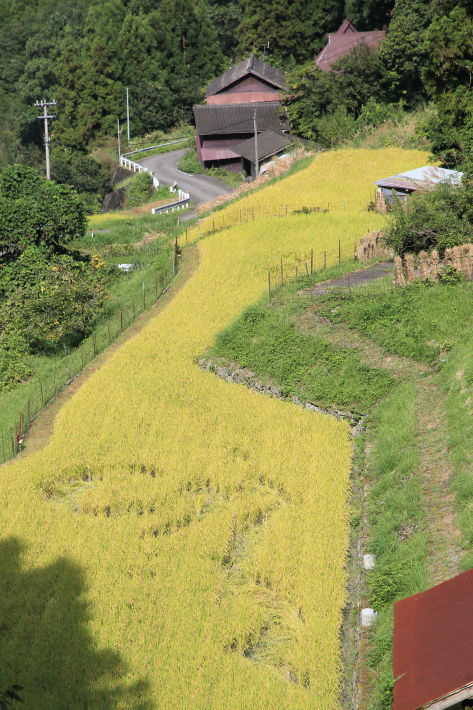c0358784_20365370.jpg