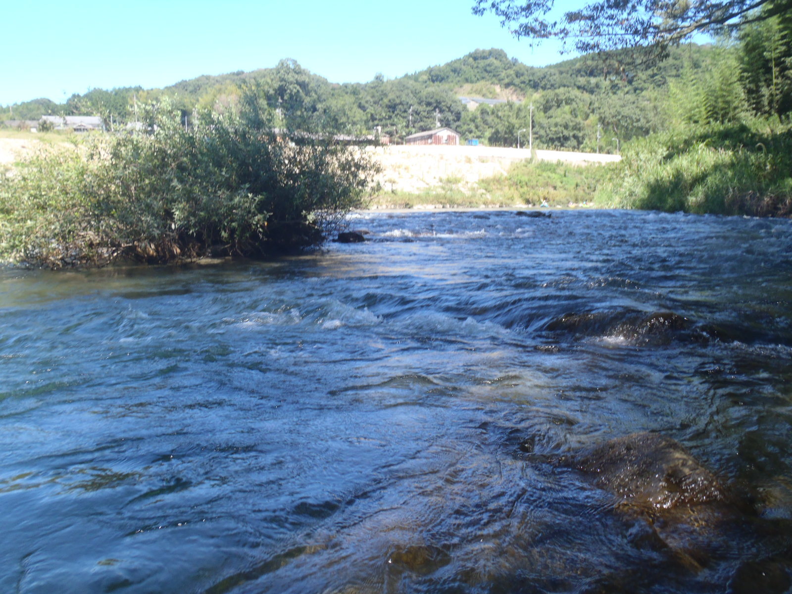 b0139489_20171529.jpg