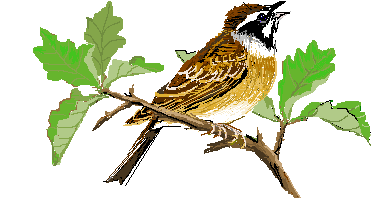 b0223592_12114376.png
