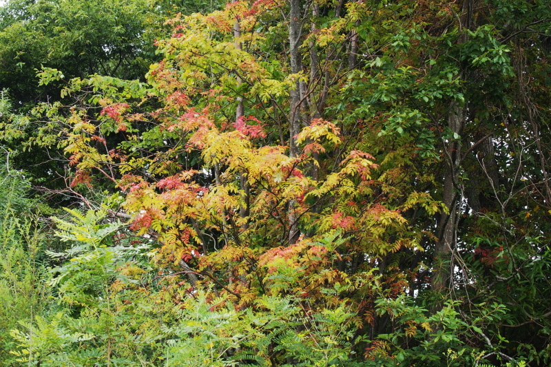 f0231393_16312946.jpg