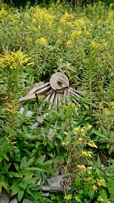 f0231393_16321107.jpg