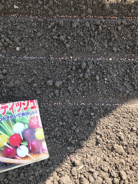 f0204295_16391929.jpg