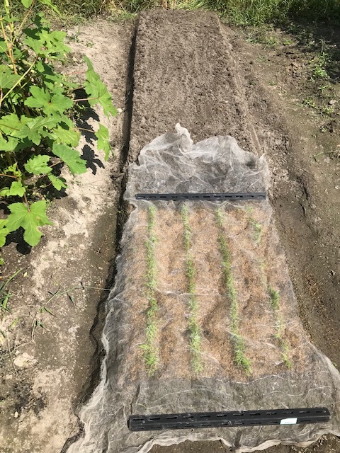 f0204295_16395714.jpg