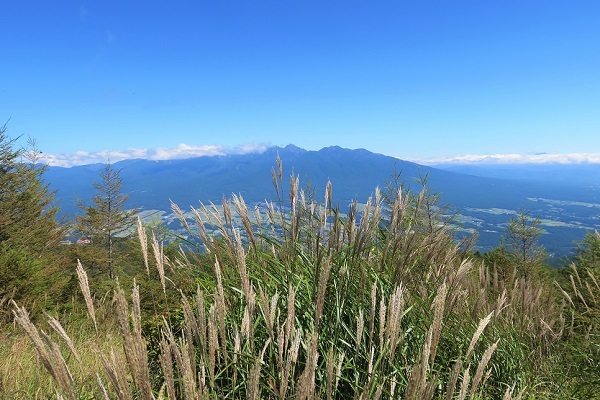 9月の入笠山・・沢入登山口から歩く_a0158702_16505491.jpg