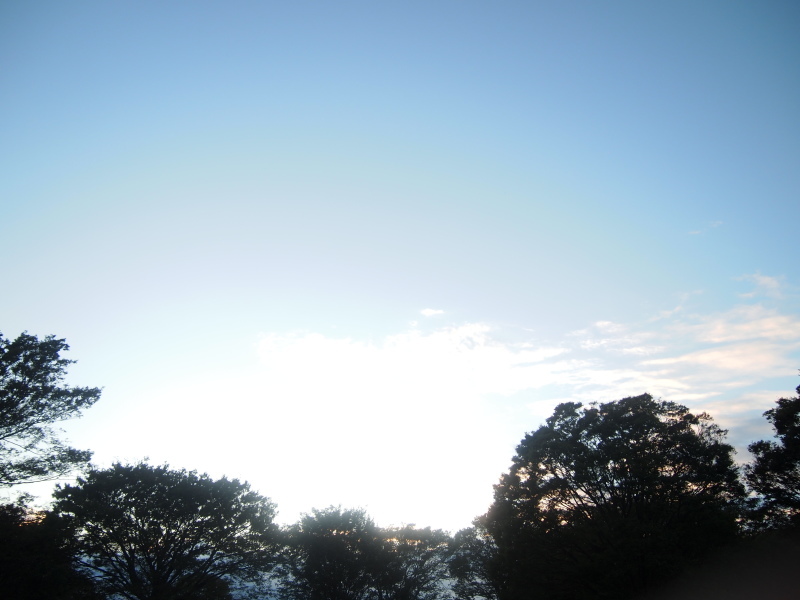 d0355702_23271127.jpg