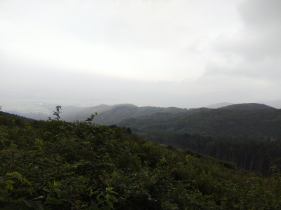 b0040606_20291086.png