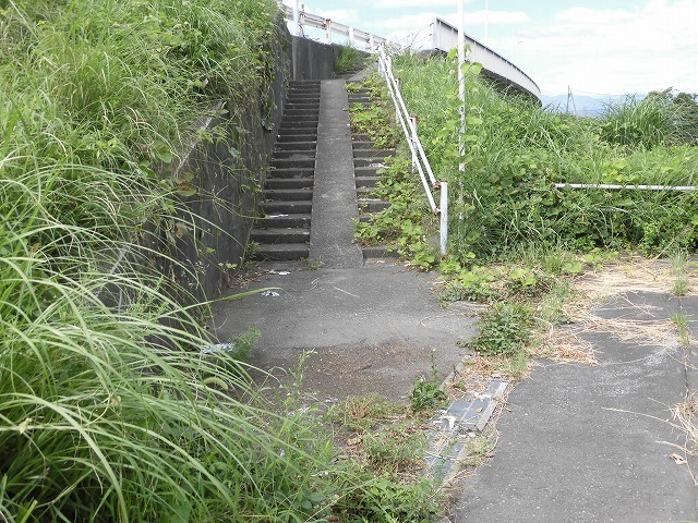 猛暑と少雨が響いている? 滝川のヒガンバナは、開花に向けた成長が遅れ気味!_f0141310_07240349.jpg