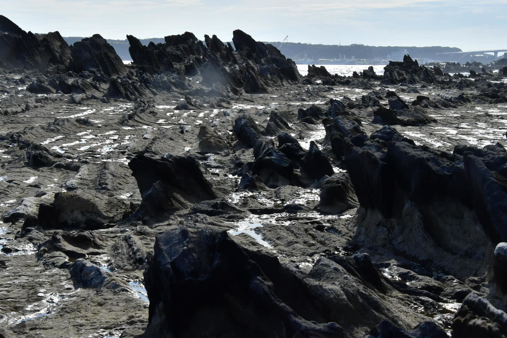 海へ その2_b0223512_22165212.jpeg