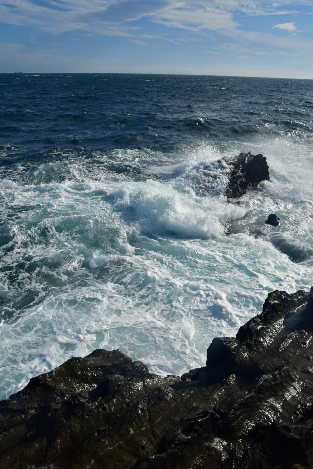 海へ その2_b0223512_22225029.jpeg