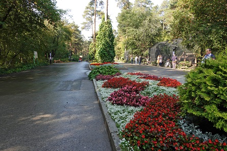 a0151913_1314460.jpg