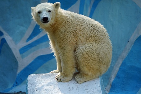 a0151913_3415480.jpg