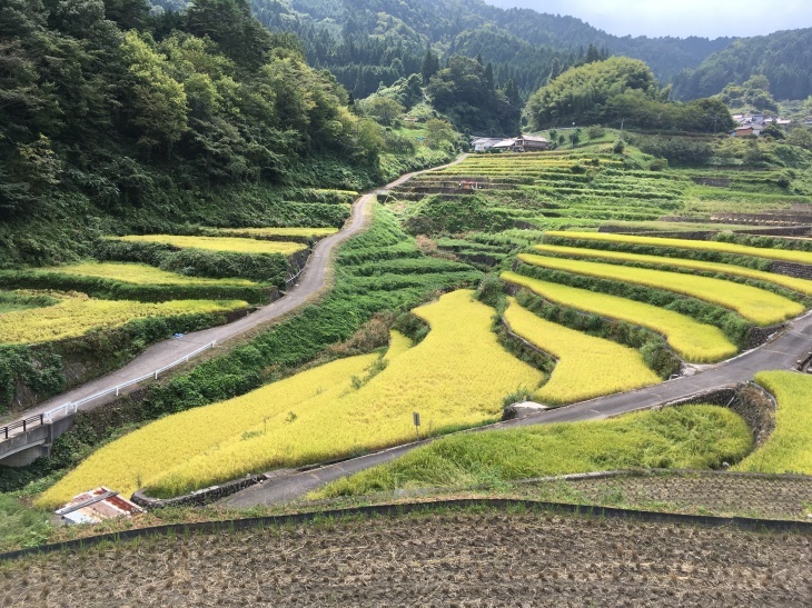 秋を探して芸北方面・・・_e0036217_09485138.jpg