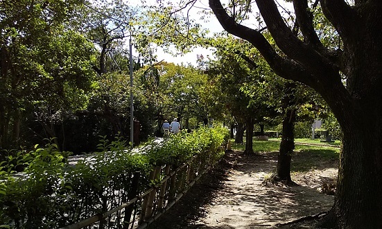 c0280322_21243767.jpg